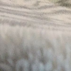 Meet your Posher, Jane